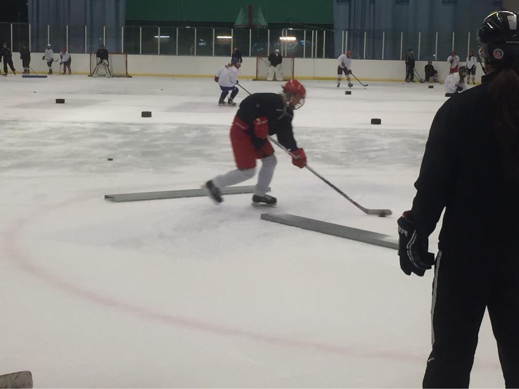 TrojaLjungbyU's tweet photo. Dag 4 #roothcamp Thea har teknikövning under övervakning av HV71 Sara Jakobsson. #TrojaLjungby http://t.co/dLWVpo3m90