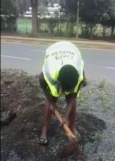 ludovikioko's tweet photo. #KQRebound Meanwhile #Kiderograss is being uprooted. Kenya is a hotbed of pretense http://t.co/SBDwvtBJjR #KQMess http://t.co/tlMYX905Ow
