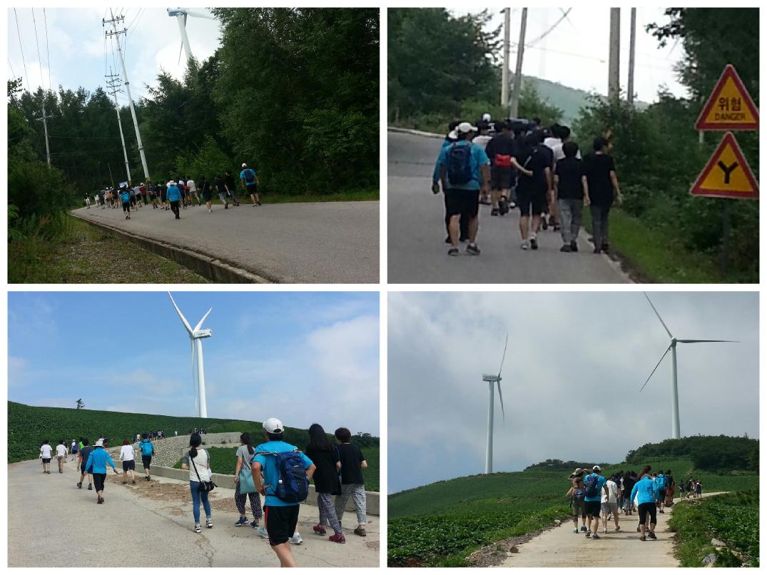 sn_uth's tweet photo. 국제청소년성취포상제 마지막 일정
매봉산 바람의 언덕
40만평의 광활한 밭에 심어놓은 배추~~~
무더위와 장맛비에도 굴하지 않고 4일동안 쉬지 않고 열심히 참여해 준 친구들이 너무  자랑스럽습니다^-^!!! http://t.co/lhKUID7KxR