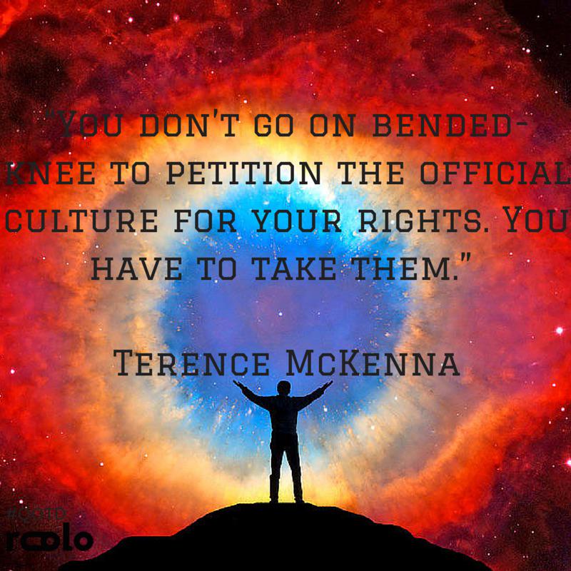 roolo tweet media