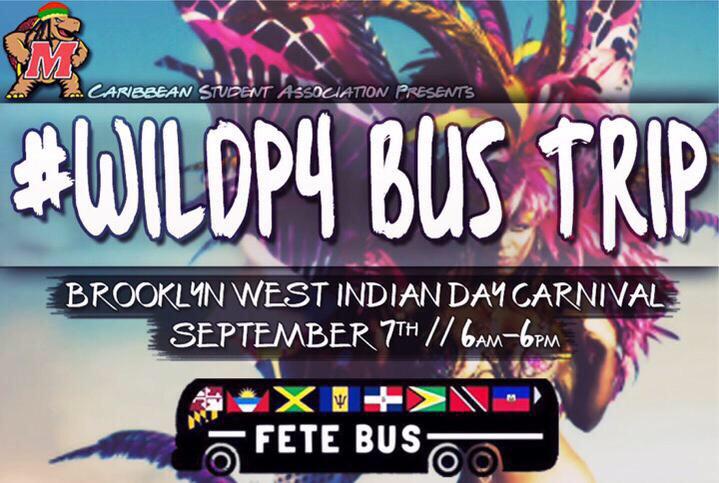 wolfofringroad's tweet photo. rasta testudo got y'all next. #WILDP4 http://t.co/eoiCQkByHX