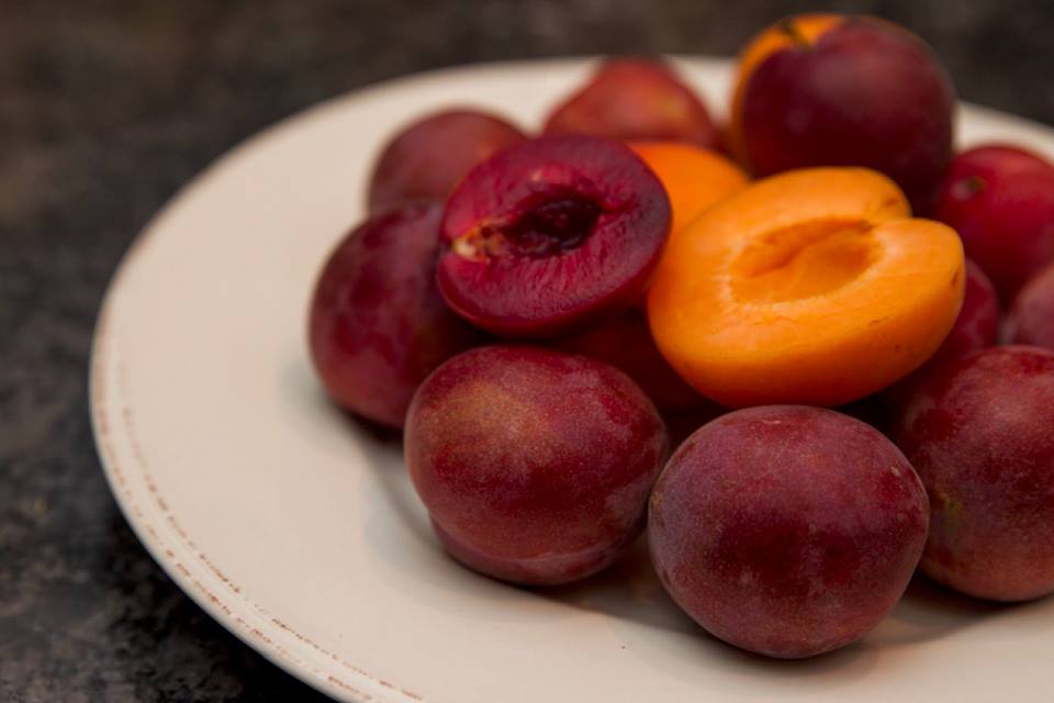 Red velvet and yellow velvet plums. #produce #fresh #fruit #restaurant #MercuriMontreal
