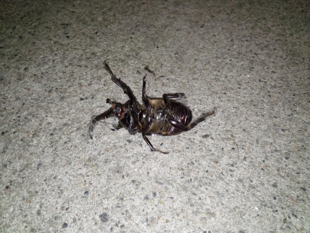 嘘つき Ufoキャッチャー動画総合スレ10 クソリン 転載禁止 C 2ch Net 嘘つき Ufoキャッチャー動画総合スレ10 クソリン 転載禁止 C 2ch Net