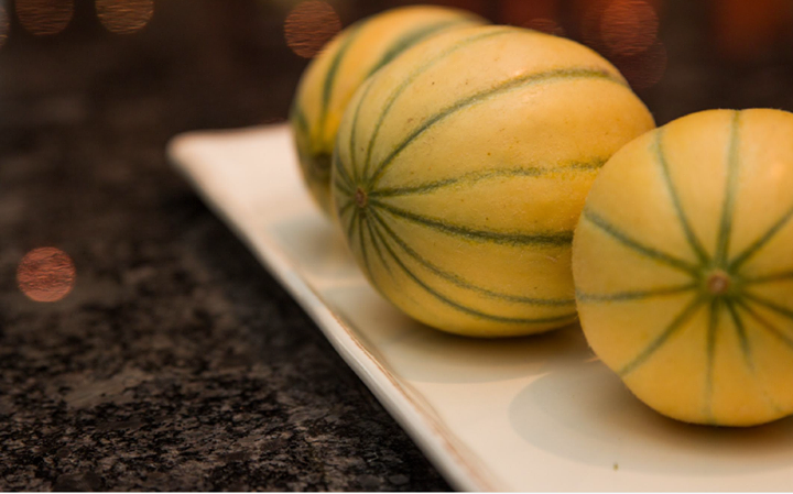 Melons Charentais de la ferme de Paul Legault.