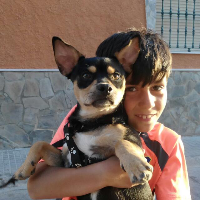 BINACONDA's tweet photo. Mi sobrino Juanma con mi perrito dragón http://t.co/nvb5STiKbz