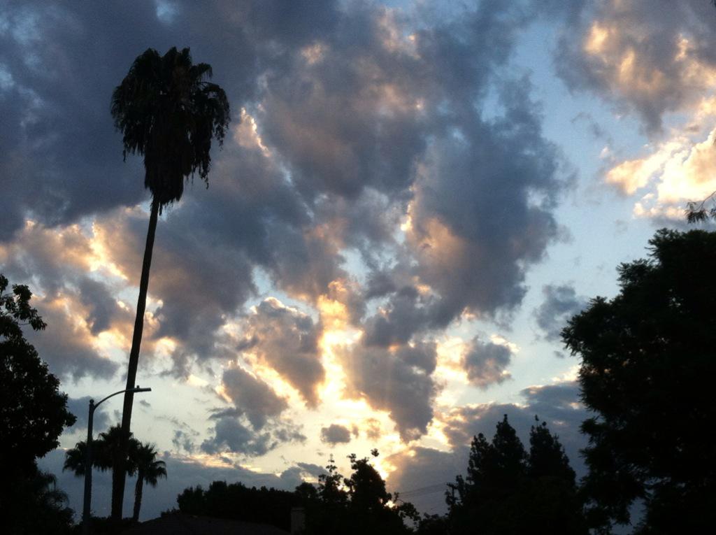 RealCoryEdwards's tweet image. Not a bad ride in this morning. 
#nofilter #cloudnerd