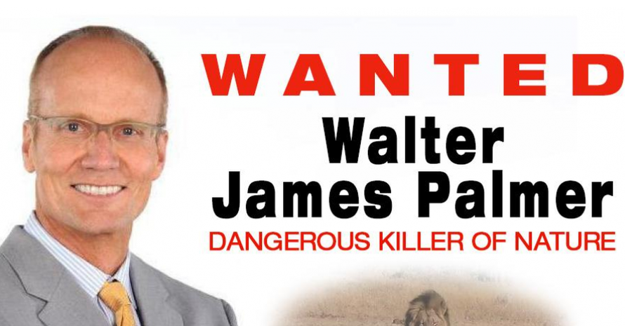 debdjsim's tweet photo. He's a wanted man! #WalterPalmer guilty of being a bloodlusting psychopathic diseased minded animal killer- http://t.co/YENijrJBVe