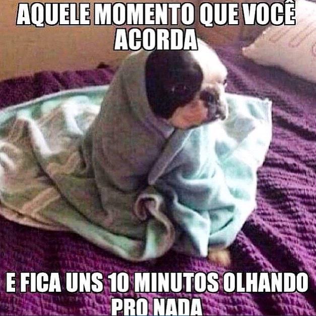 imagram's tweet photo. #quemnunca #medefine #bomdia #minhacasa #pet #acorda #muitoamor #imagram #fofo http://t.co/dRrHgJyAGM