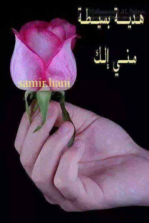 رافضي حتى إلا ممات (@ochrhwfd2is7ey5) on Twitter photo 