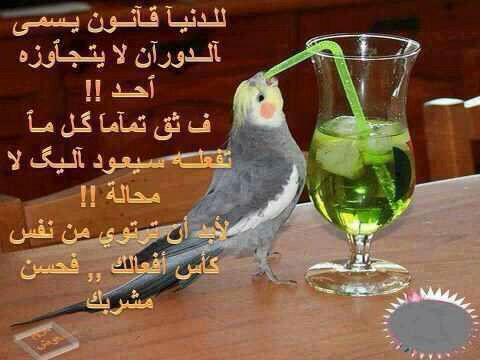 UPWHHBOVUGSWNVR's tweet photo. http://t.co/Rfc7TqCAP7