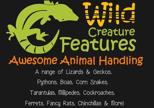 HarbMarket's tweet photo. Saturday 1st Aug 10.30-2.30pm Snakes! Lizards! Tortoises! Tarantulas! All at #Harborough Market. Great fun for kids! http://t.co/aR7OzSuh2F