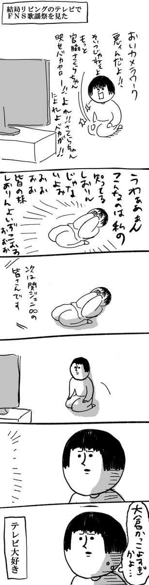 どうやらテレビが私の生きがいだった 