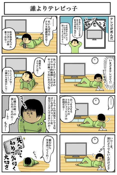 どうやらテレビが私の生きがいだった 
