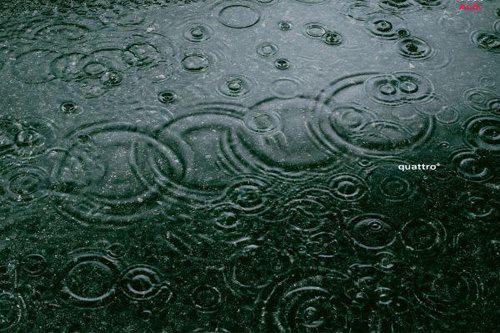 audipuneindia's tweet photo. Audi Monsoon Tip:- Check the brakes, wiper blades and the wash wipe system; replace worn-out components if any. http://t.co/y4QlpOet84