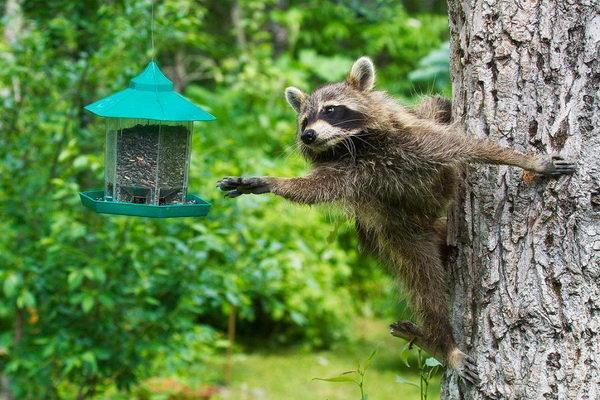 zPicture's tweet image. 