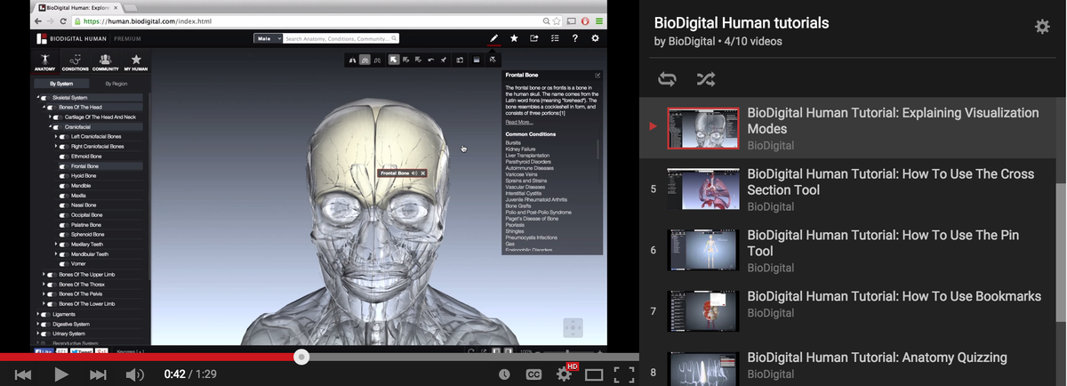biodigitalhuman's tweet photo. You familiar with the features of the #BioDigital Human? Watch our series of tutorial videos http://t.co/s9YoK0aPtS http://t.co/PVUoyLdxOU