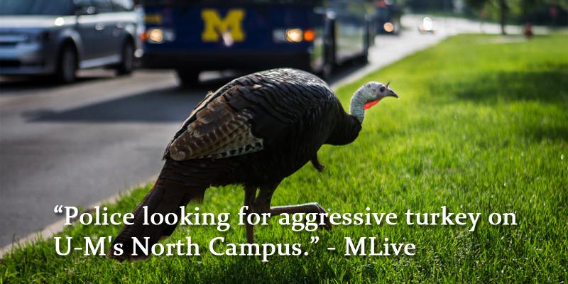 UMengineering tweet picture
