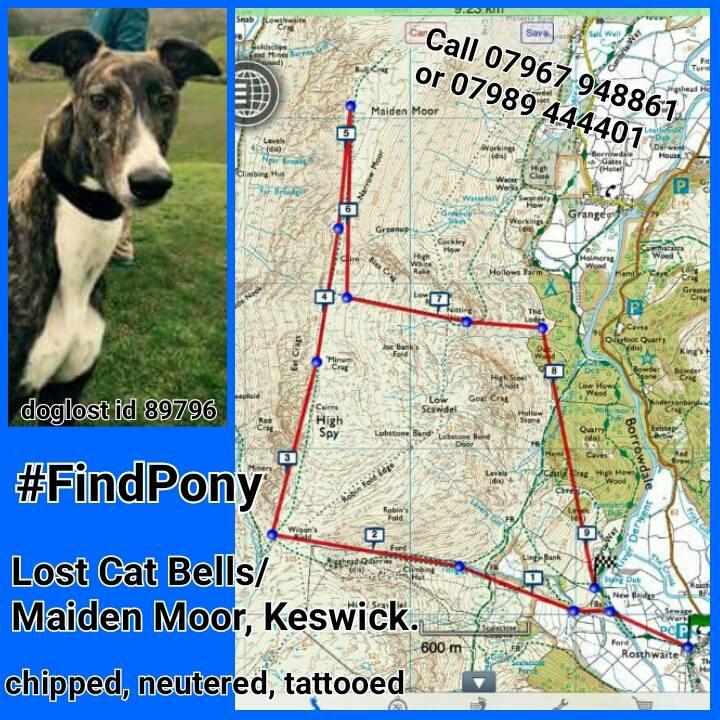 Susie Kenward tweet media