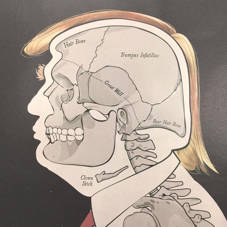 ucllc's tweet image. Fave Quip from Yesterday: Anatomy of Trump poster by @SideshowSignCo underconsideration.com/quipsologies/a…