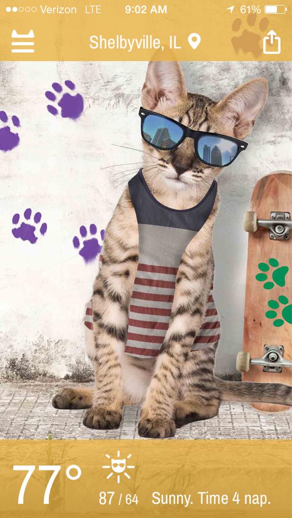 jiw1114's tweet image. I like the way @WeatherWhiskers thinks #timefornap