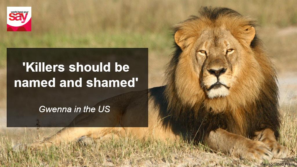 BBC_WHYS's tweet image. Do you agree with Gwenna? Where should the line be drawn? #CecilTheLion bbc.in/1JTNHck