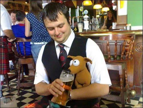 TullintrainPB's tweet photo. Nostalgic pics of George the pipe band dog #georgethepipebanddog #tbt #teamtpb http://t.co/O2bS5hUYFH