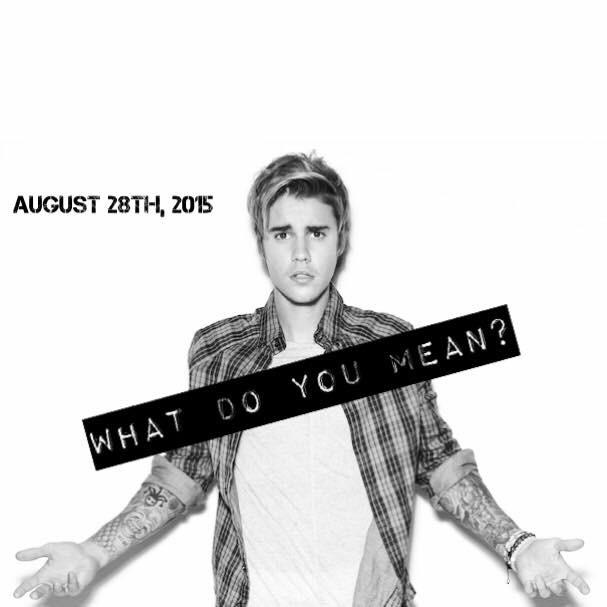 WDYM_JB's tweet photo. @ThePuppyEsther the #Beliebers sure do have talent :) #WhatDoYouMean #29days http://t.co/copA9ibmEQ