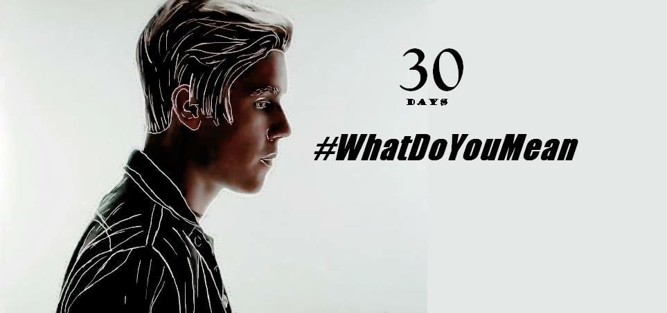 WDYM_JB's tweet photo. @ThePuppyEsther the #Beliebers sure do have talent :) #WhatDoYouMean #29days http://t.co/copA9ibmEQ
