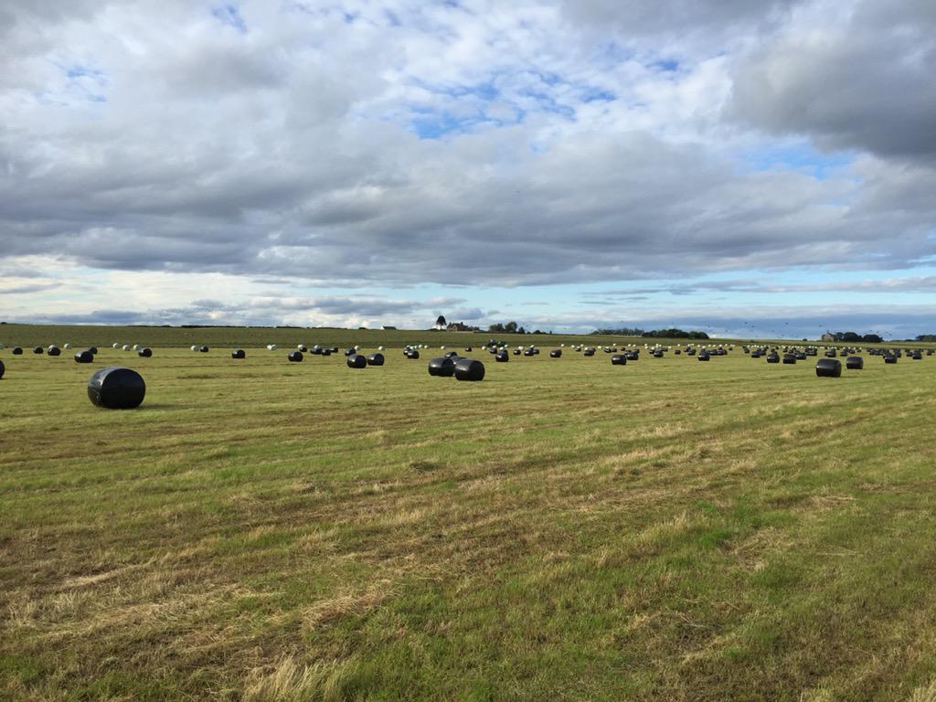 FearnFarm's tweet photo. Hay now being made into haylage, baler is there somewhere. #wheresf***ingsummer!! http://t.co/P0vdjmRAhg
