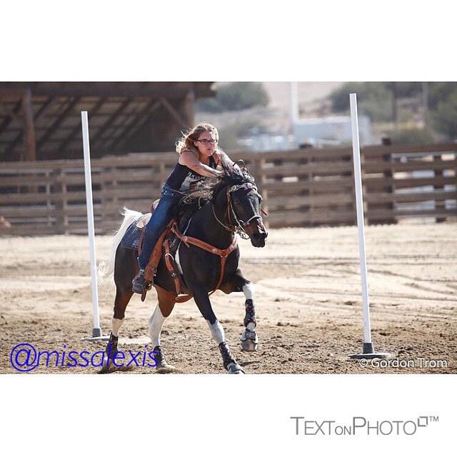 Royal_Cowgirl's tweet photo. 👑you will be my handsome king👑 #TextonPhotoSquare #TextPS #SquareApp #CropPhotoSquare#animals#horses#petagram#myhap… http://t.co/jZmz4vOOpy