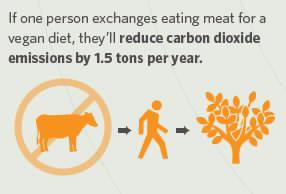RisingSign's tweet photo. #ClimateChange Action | HI
Think being vegan is not part of the answer? Think again... The biggest part. - HI http://t.co/5kJGiggbZT
