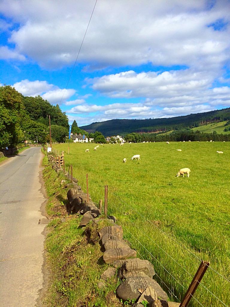 SalmonHse's tweet photo. @sykescottages blissful Fortingall @SalmonHse #fishing #walking #cycling #relax @mvscotland @ScotOutdoors http://t.co/8JShwCHu0G