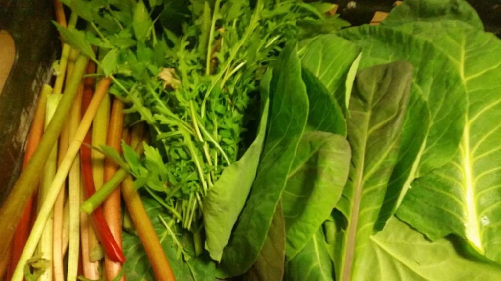 ArdilaunBistro's tweet photo. Rhubarb, Rocket, Lovage and Kale from our walled garden @Artisan_West #TasteofTheArdilaun http://t.co/iSWTxjdrjx