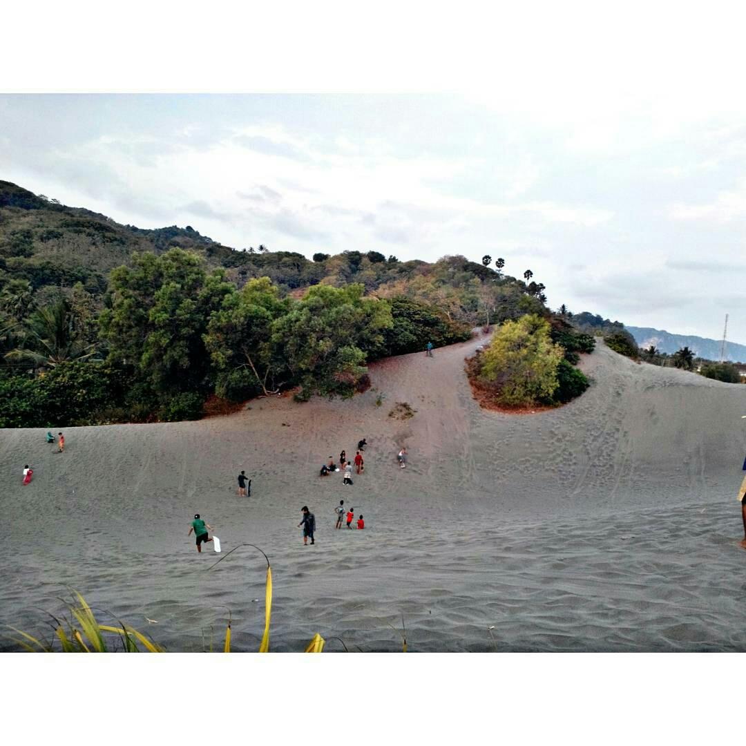 Jogja24Jam's tweet photo. Pasir yang luas seolah2 berada di kawasan timur tengah. Gumuk pasir parangtritis, Bantul. foto ig: muhammdafiif http://t.co/UiPWA6tdxl