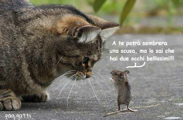 elsadigati's tweet image. Una volta un uomo mi ha detto la stessa cosa. #rimorchi