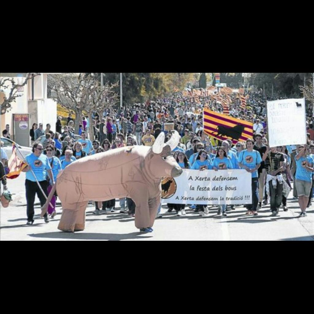 Manifestaciones en Castellón y amposta. 
Que bonito es ver cuando una afición nos junta a para defender lo nuestro