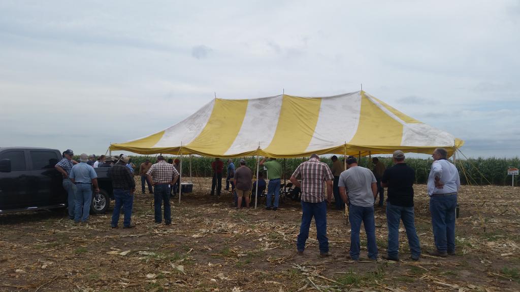 Katie Whittiker tweet media