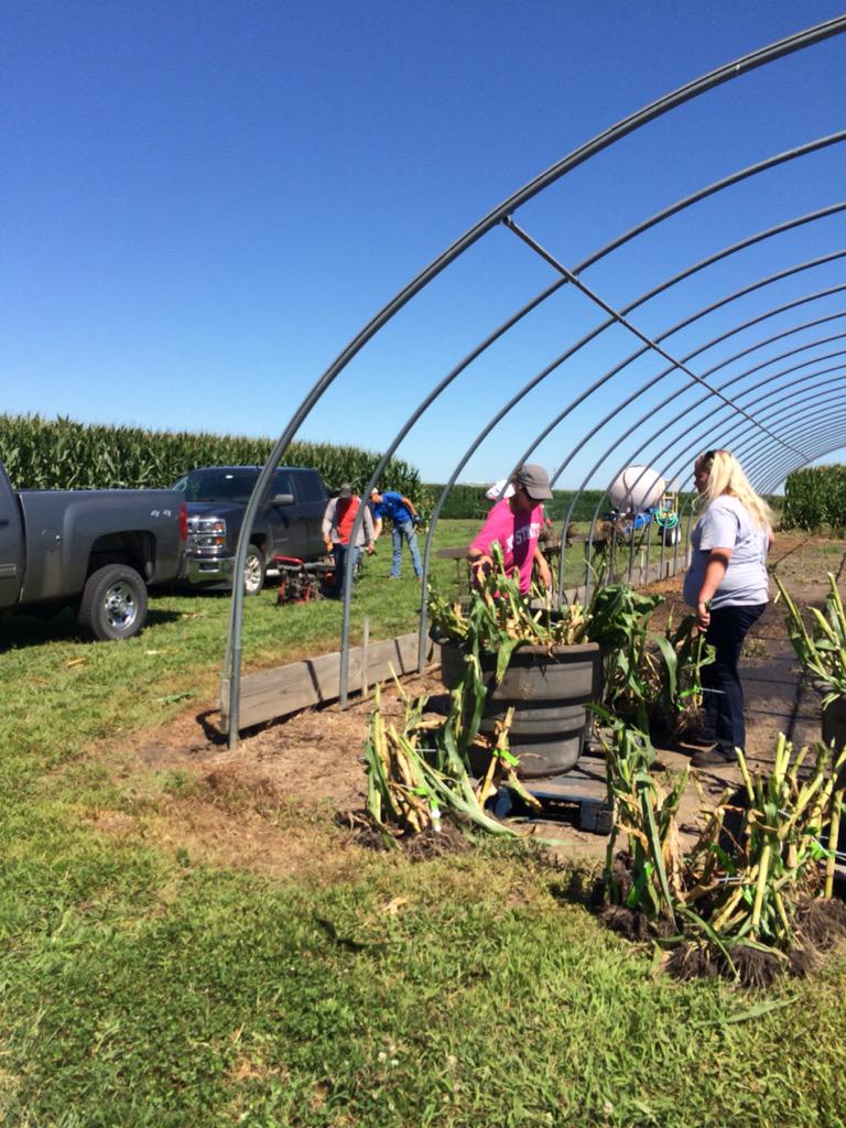 DanielLundeen's tweet photo. The IL Technology team is hard at work evaluating corn traits.  Root digs and ratings will show level of pressure. http://t.co/dSNeAfQ5NB