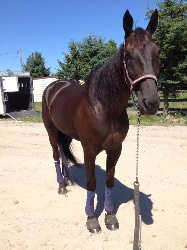 kgangell57's tweet photo. Fastest and richest daughter of I Am A Fool #FoolishMind 💜💚 http://t.co/F7UyMigSnY