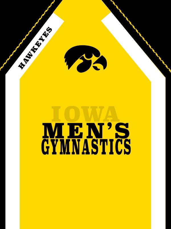 kimberly_skoog's tweet photo. Some of my favorite graphics I made for Iowa gymnastics this week #isjw15 http://t.co/cZMk4ZvPac