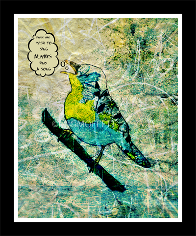 mjsprintshop's tweet photo. NEW printable bird art for those who love to sing
.https://t.co/wYgbHxcs7l http://t.co/rP7ixRBn0F