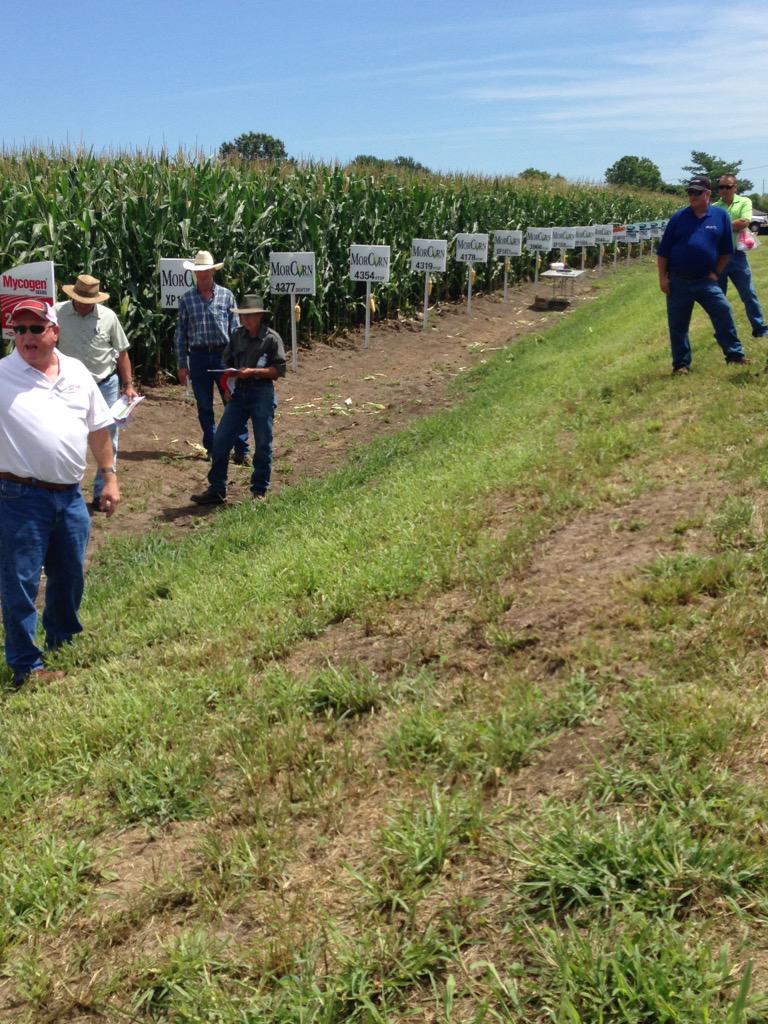 Dennis Vollrath tweet media