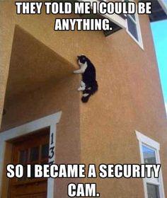 MySmartSecurity tweet picture