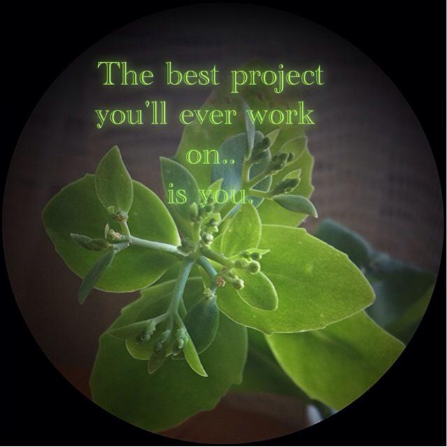 MCK (@kriskoo8) on Twitter photo 