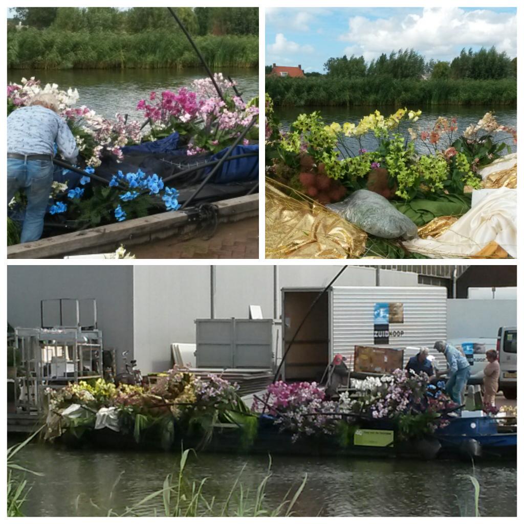 Concorde Orchids tweet media