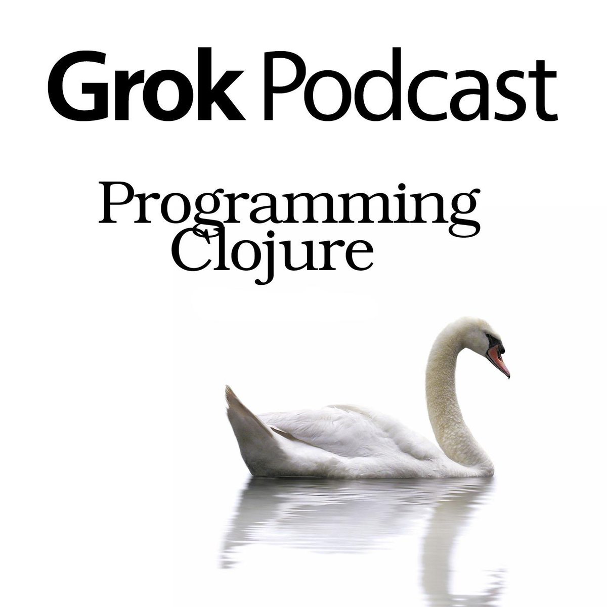 Grok Podcast tweet media