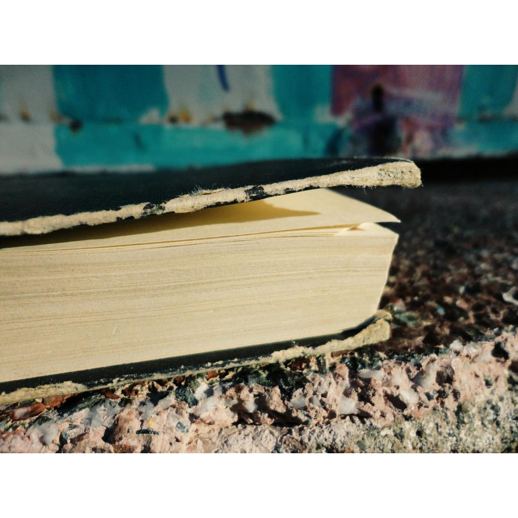 ProyectoINDIANA's tweet photo. {Nos encontramos un libro y todo}
• Liberar libros •

#books #freebooks http://t.co/20LCGEUNKT