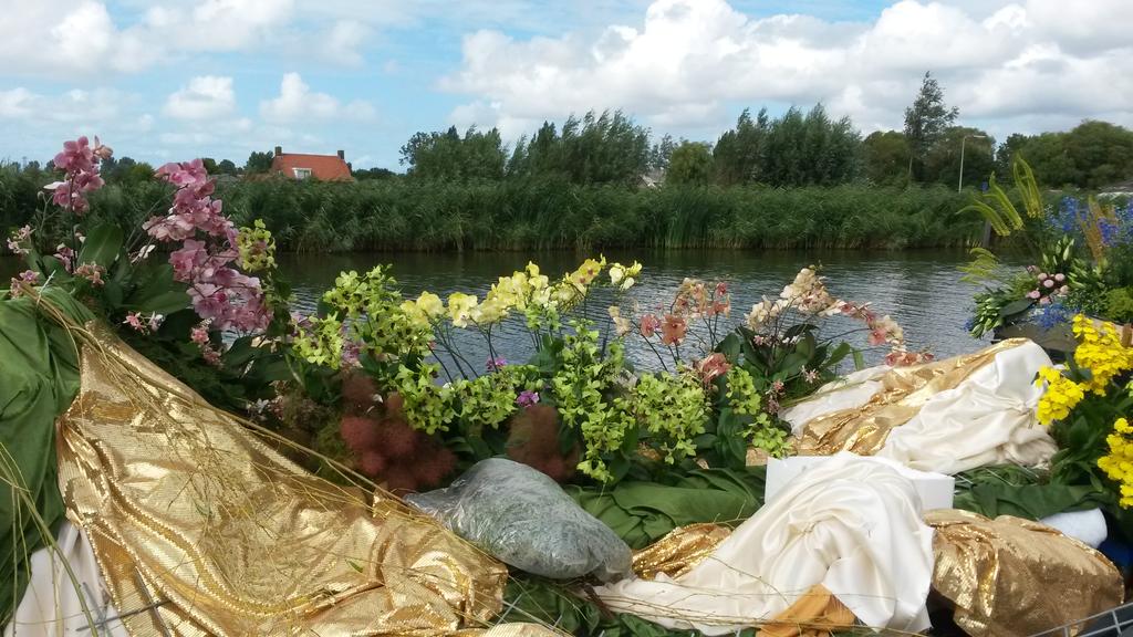 Concorde Orchids tweet media