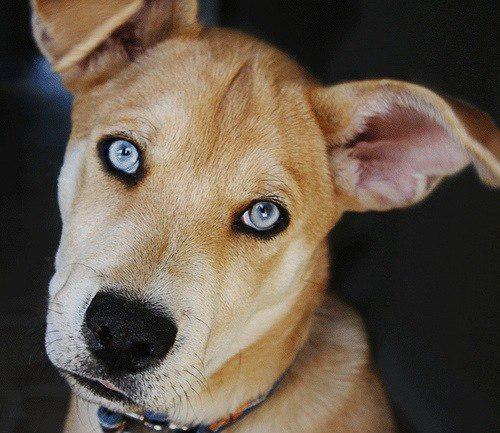 zPicture's tweet image. 