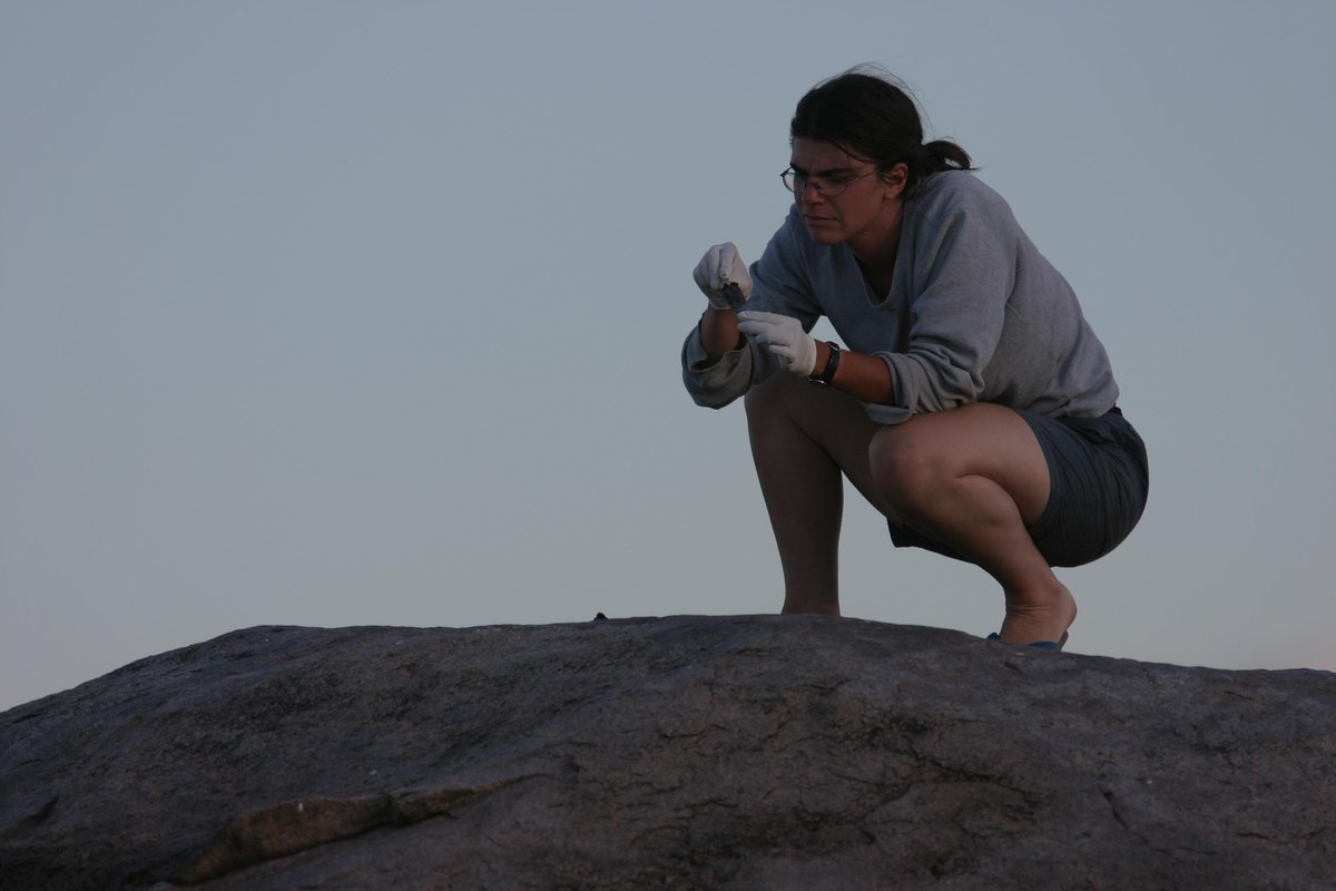 AnneWHilborn's tweet image. When you are collecting cheetah poop and drop some on yourself.
#fieldworkfail
#distractinglysexy